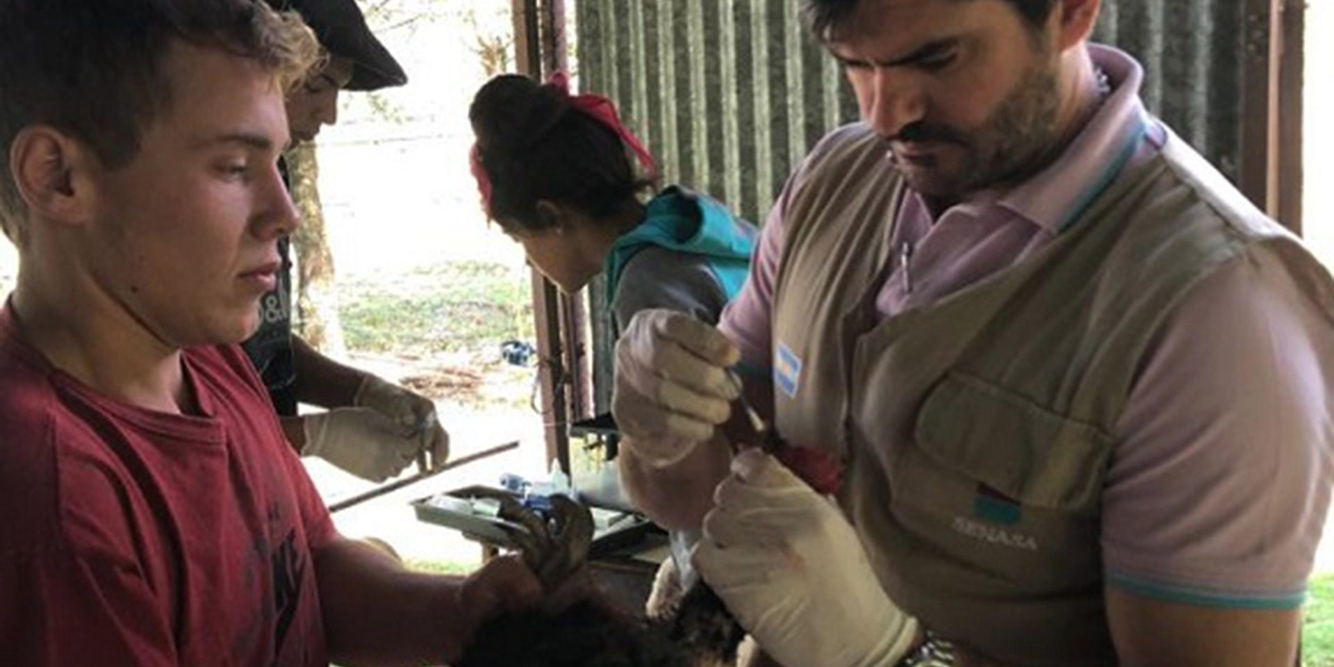 vete_local_con_alumnos-