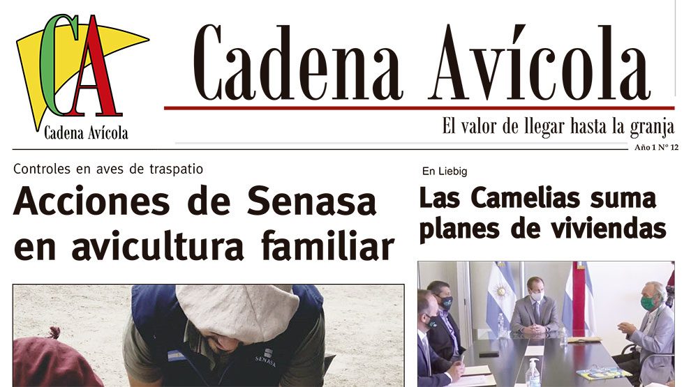 Cadena-28-11_LACALLE-(Página-01)--Crop