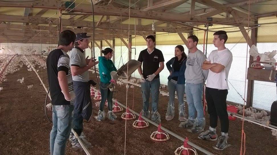 3419162f-c63e-4ed8-9e62-4f91140c062a 3419162f-c63e-4ed8-9e62-4f91140c062a