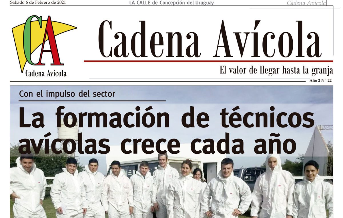 Cadena-06-2_LACALLE-(Página-01)-Crop