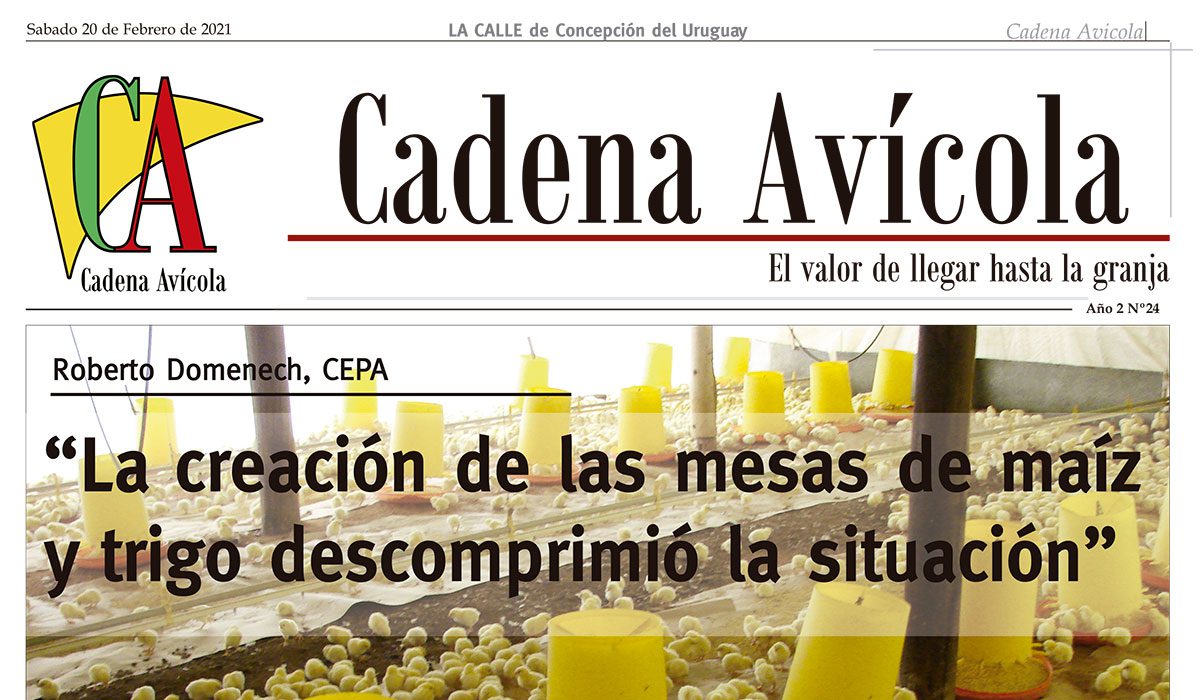 Cadena-20-2_LACALLE-(Página-01)-Crop