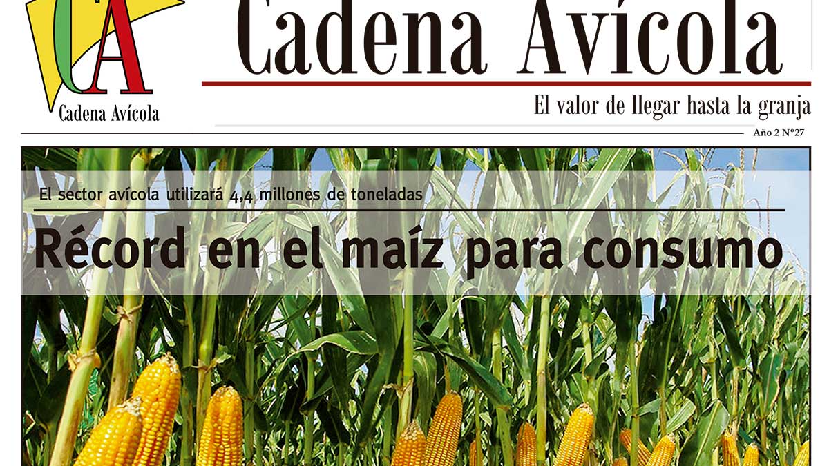 Cadena-13-3_LACALLE-(Página-01)-crop