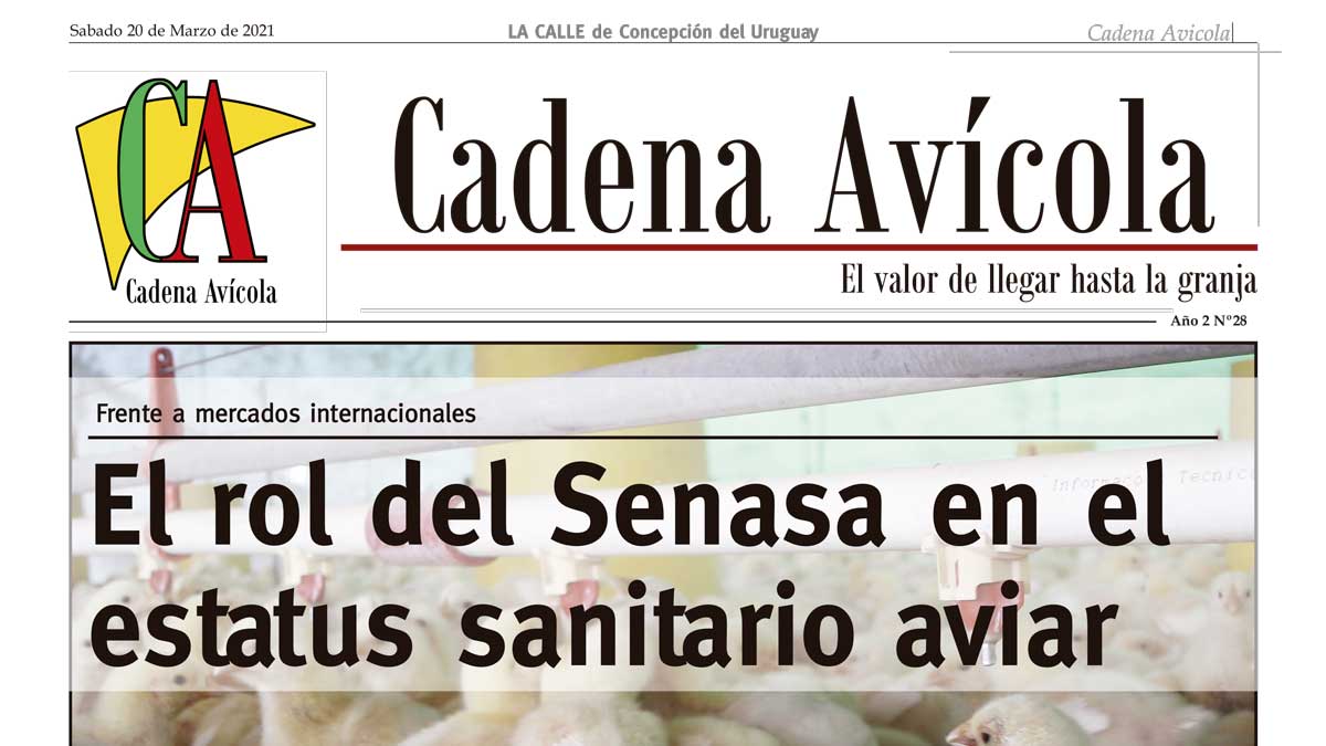 Cadena-20-3_LACALLE-(Página-01)-Crop