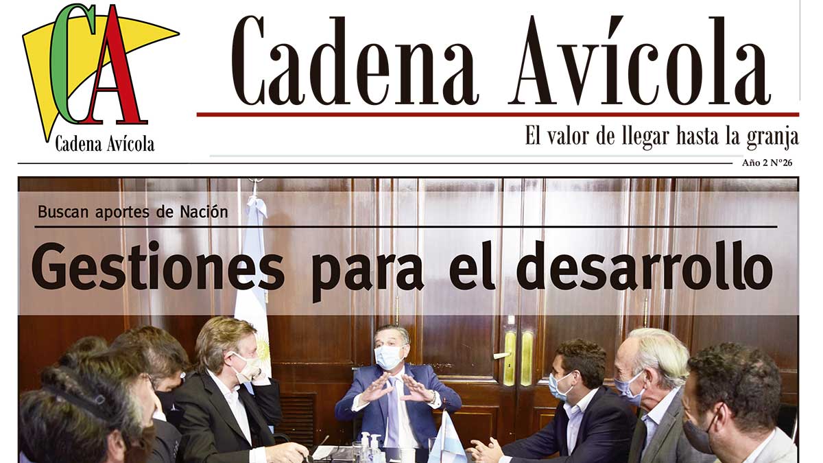 Cadena-6-3_LACALLE-(Página-01)-Crop