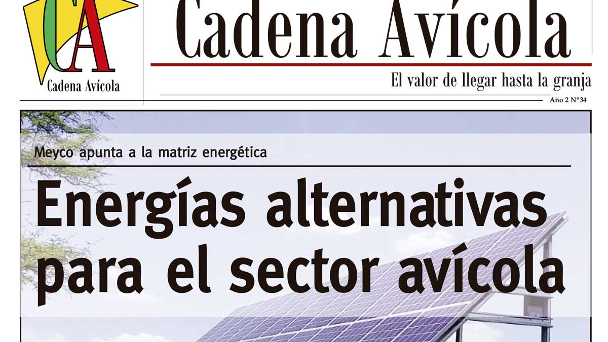 Cadena-02-5_LACALLE-(Página-01)-crop