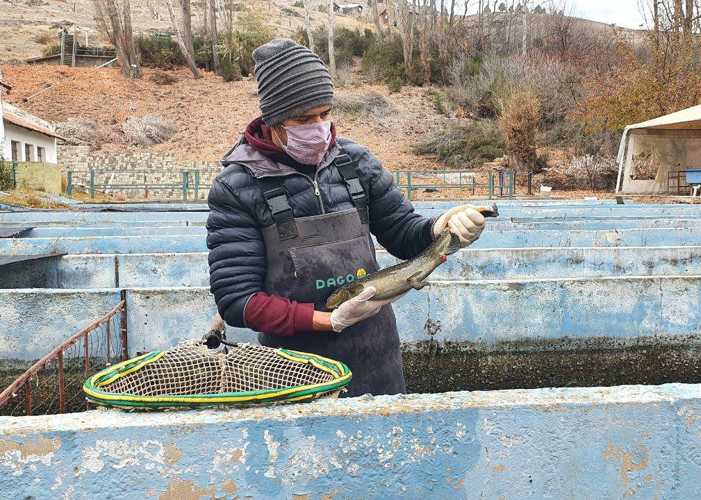 7c97b5e2-d684-4ca2-bbba-f492f1fa7929