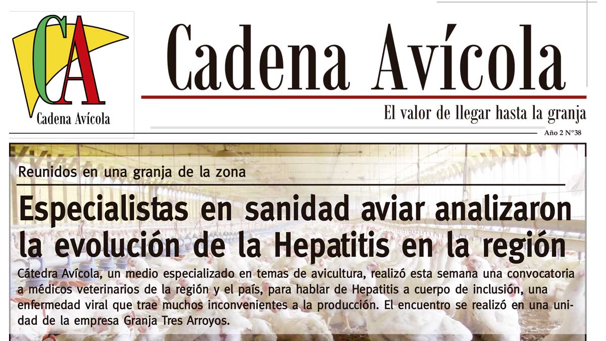 Cadena-29-5_LACALLE-(Página-01)Crop