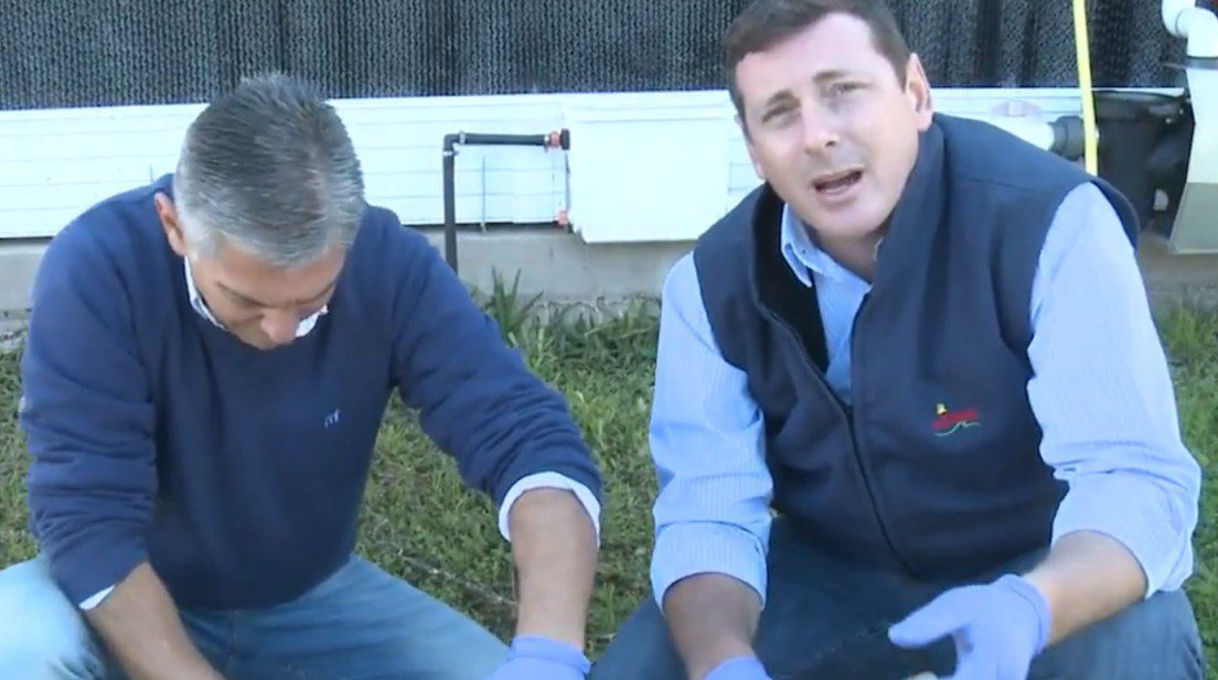 image-2021-05-29T101253.452