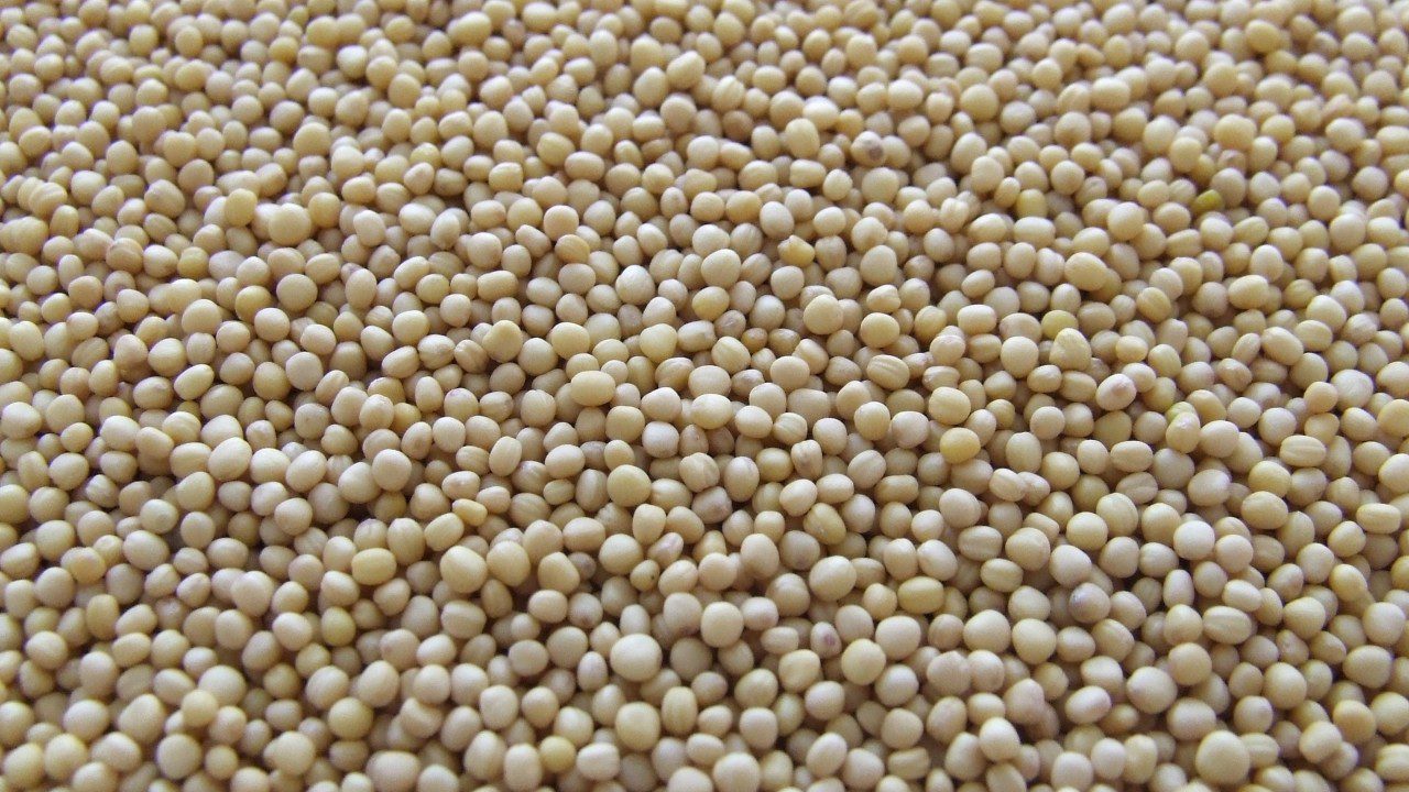 PorotosDeSoa PorotosDeSoa