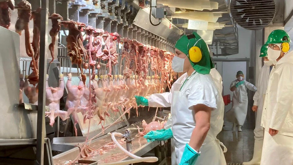 faenar-frigorifico-stertz-1