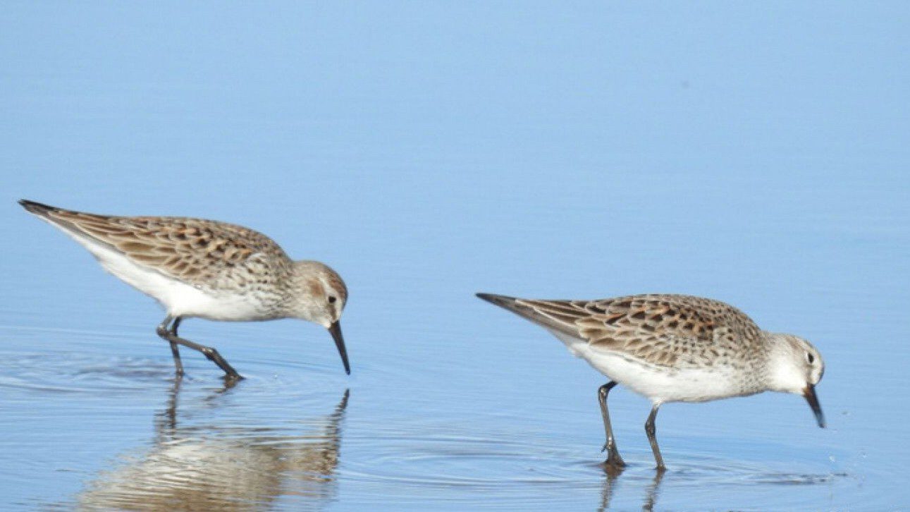 img-20220922-wa003118