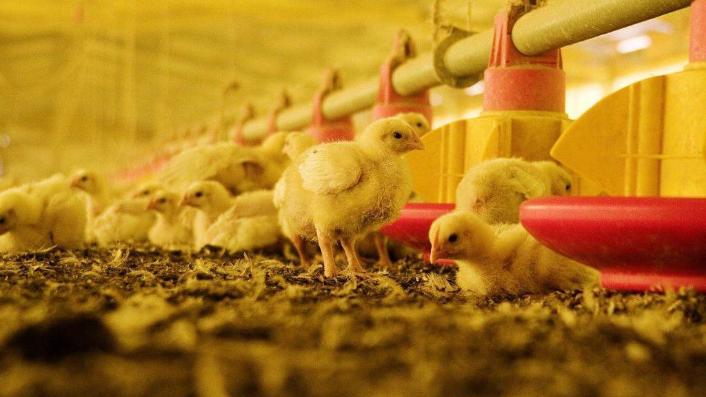 whatsapp_image_2022-11-25_at_11.48.57