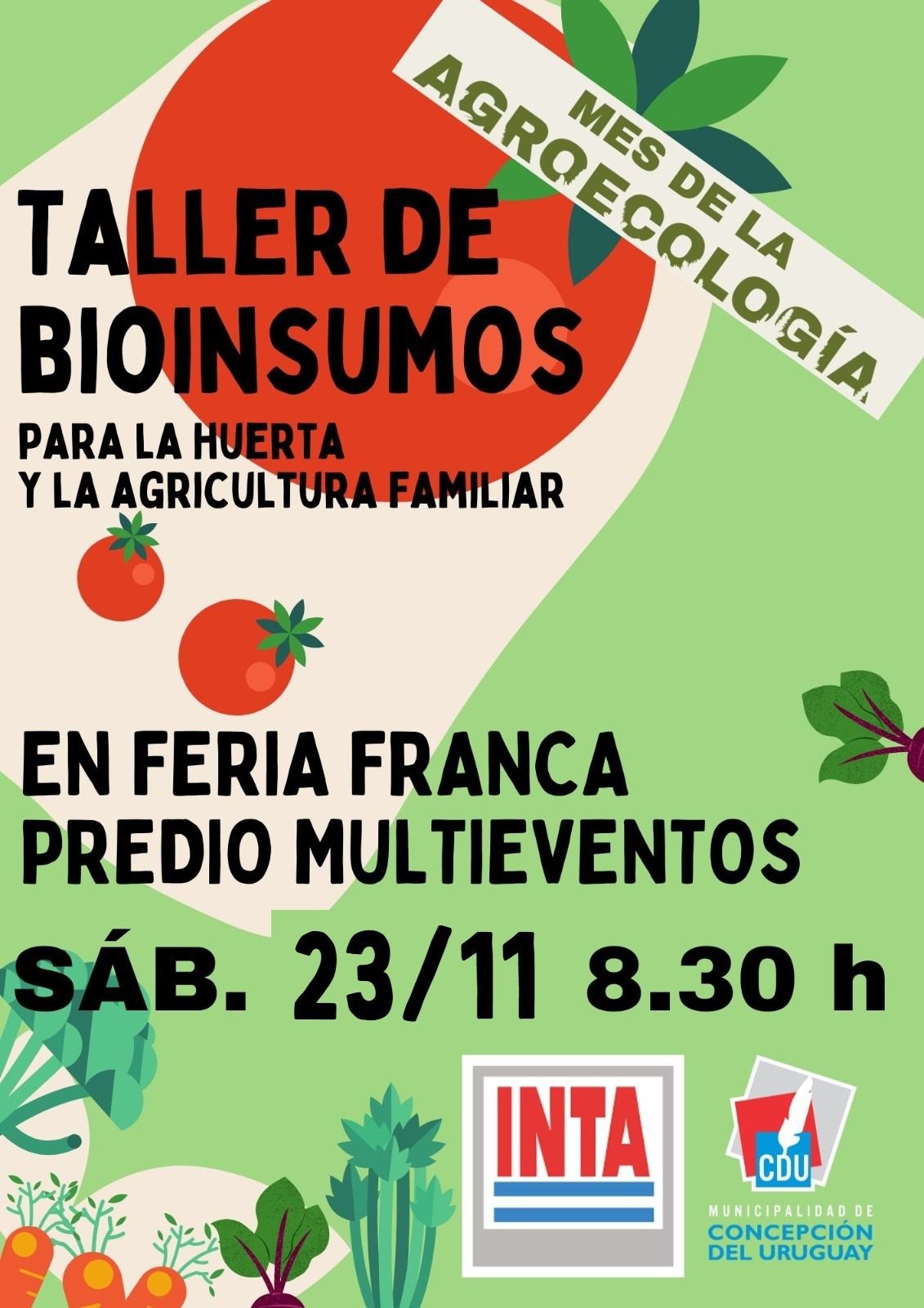 WhatsApp Image 2024-11-11 at 12.05.02