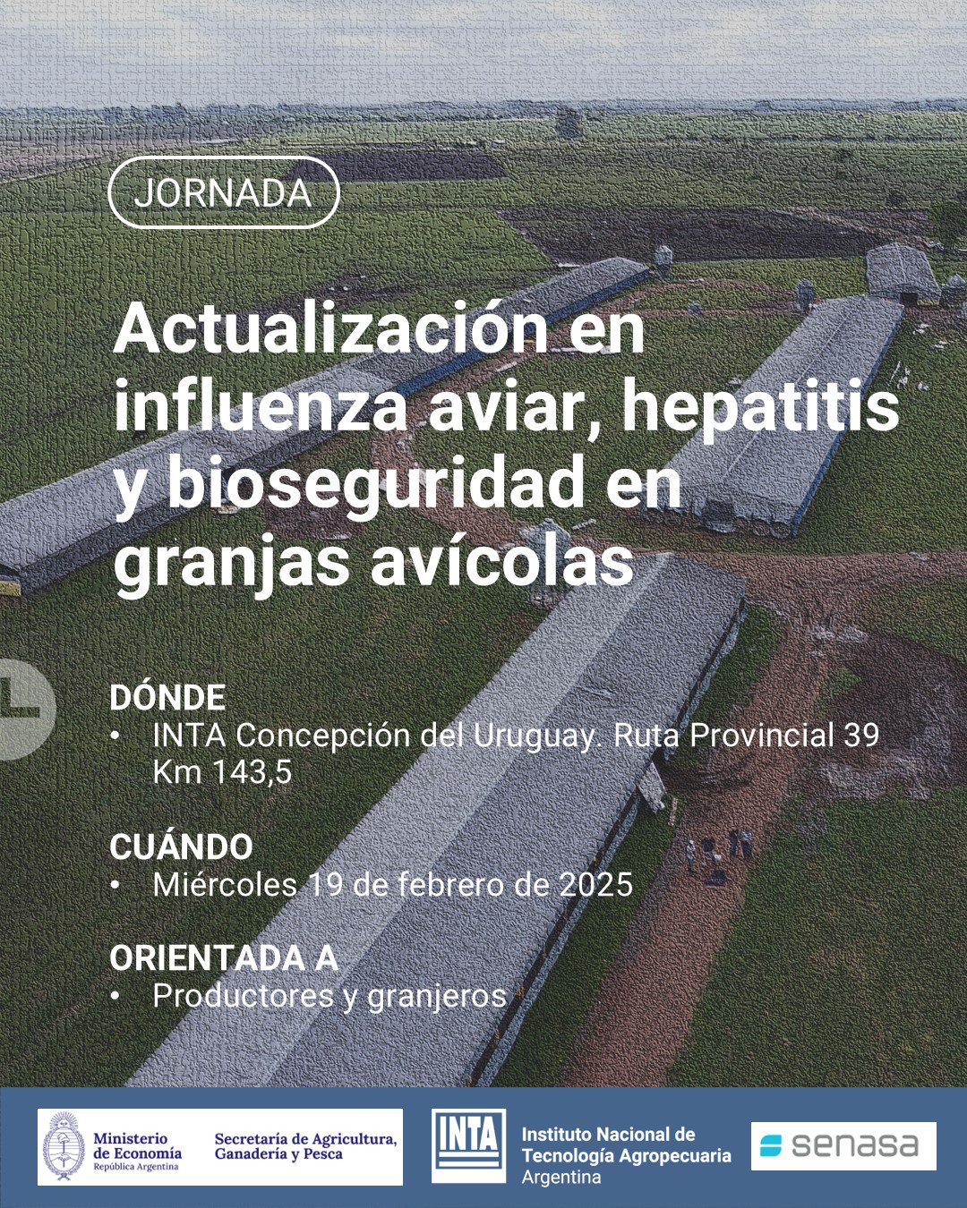 WhatsApp Image 2025-02-13 at 11.25.43 WhatsApp Image 2025-02-13 at 11.25.43